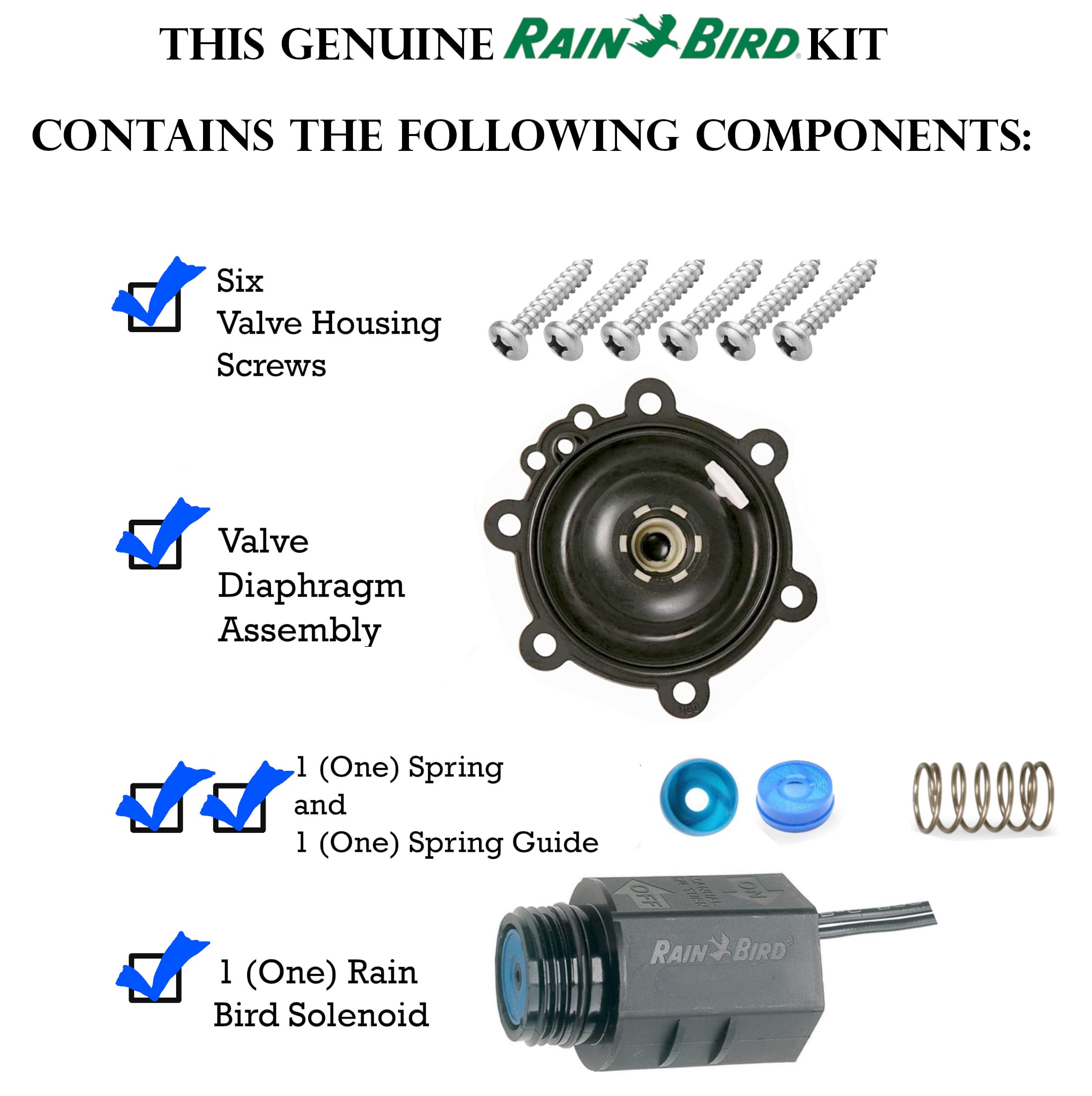 Rain Bird CPF100 Series Valve Rebuild Kit with Diaphragm Repair Kit & Replacement Solenoid - Professional Irrigation System Repair Parts for Sprinkler Maintenance (Lawn, Garden, Landscape Use)