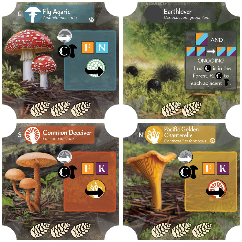 AEG: Undergrove Forest Fungi Strategy Board Game - Fun Family Game for Nature Lovers & Strategy Enthusiasts - Perfect for Game Nights & Educational Play