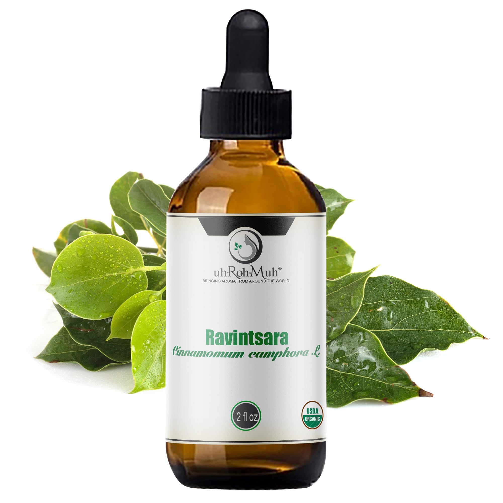 100% Pure Organic Ravintsara Essential Oil for Diffusers & Aromatherapy - USDA Certified Cinnamomum Camphor Oil from Madagascar (2oz) - Perfect for Relaxation, Stress Relief & Home Spa Treatments