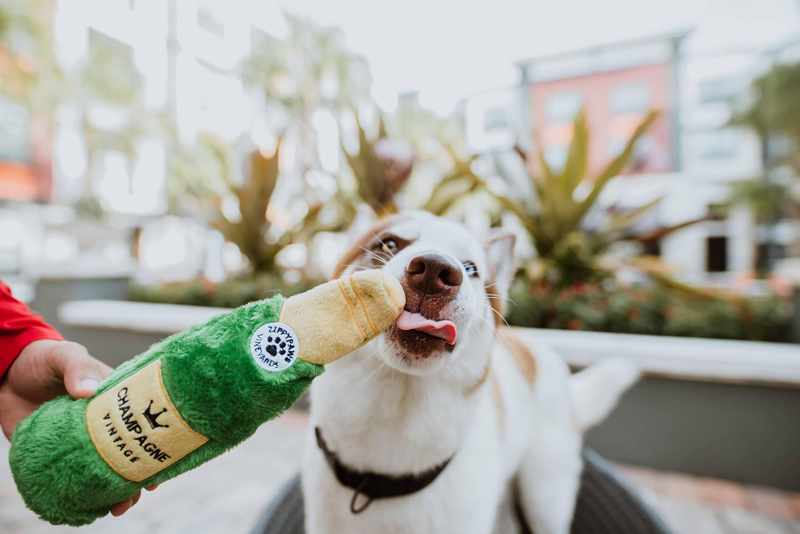 ZippyPaws Happy Hour Crusherz - No Stuffing Crinkle & Squeaky Dog Toy for Small & Large Dogs - Durable Interactive Play for Indoor & Outdoor Fun - Pack of 1 (Champagne)