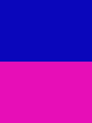 Blue and Rose