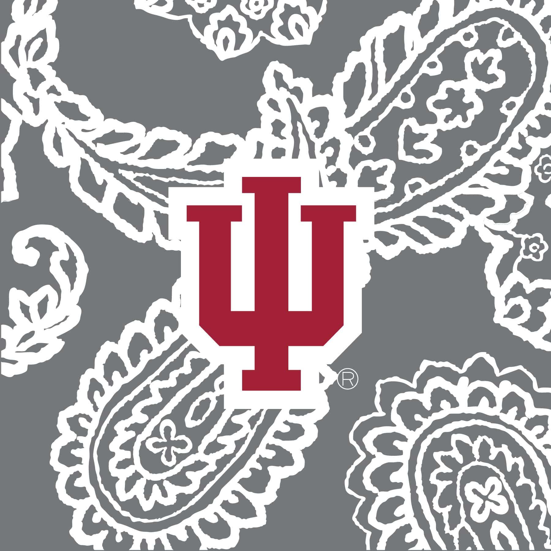 Soft & Cozy Collegiate Plush XL Throw Blanket - Extra Large College Team Blanket for Game Day, Dorm Room & Home Decor