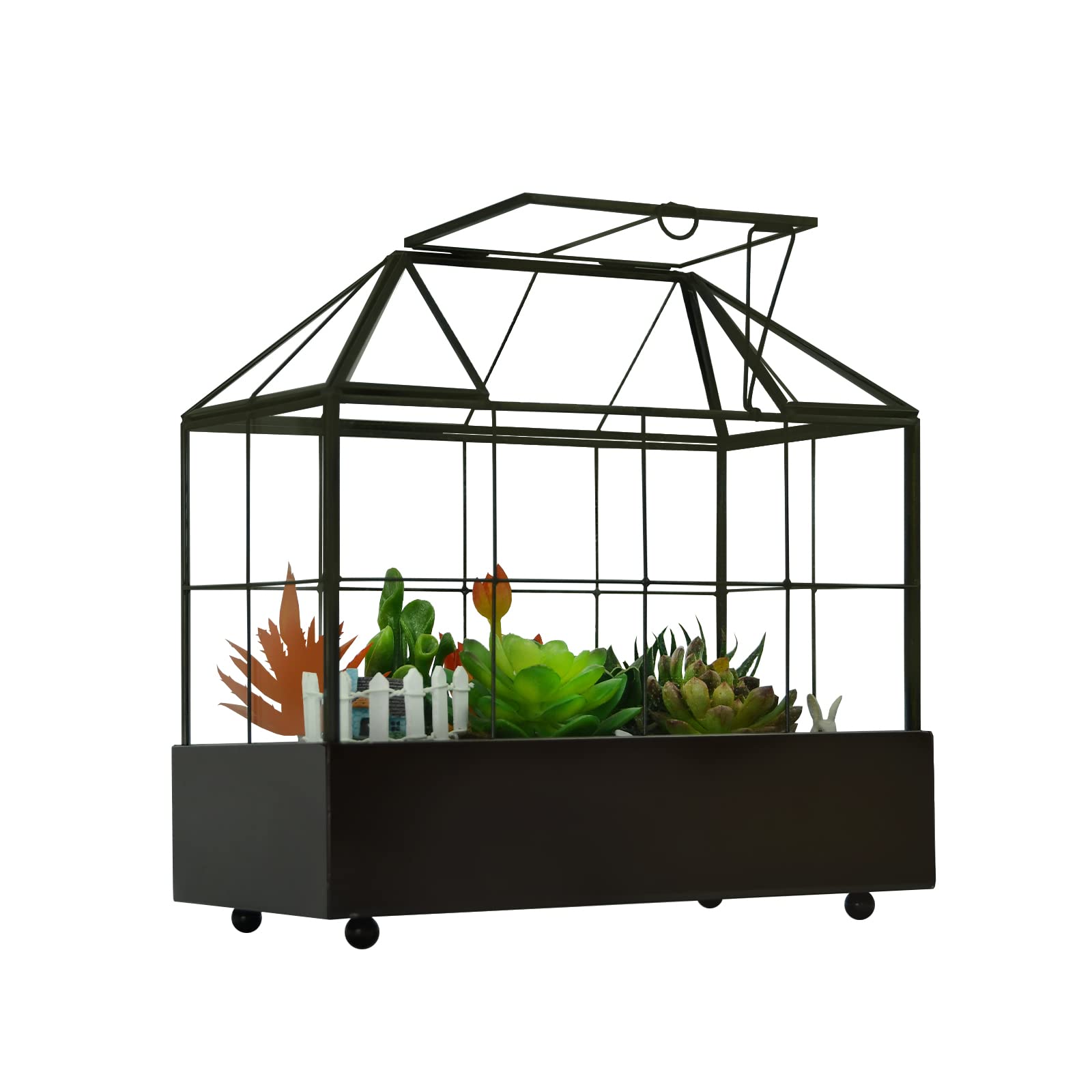 Large Glass Terrarium for Plants - 9.5