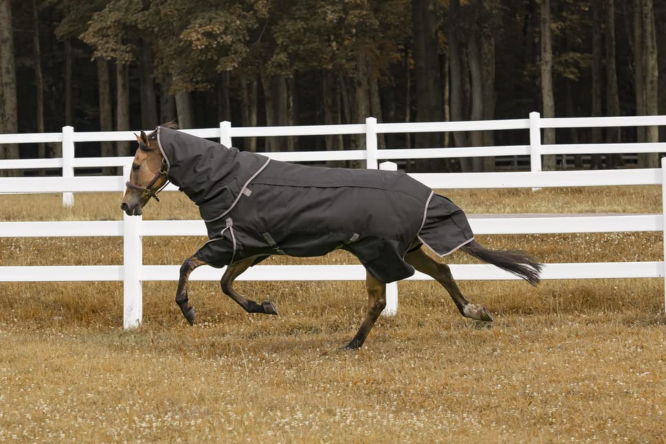 TuffRider All Seasons Horse Blanket 69