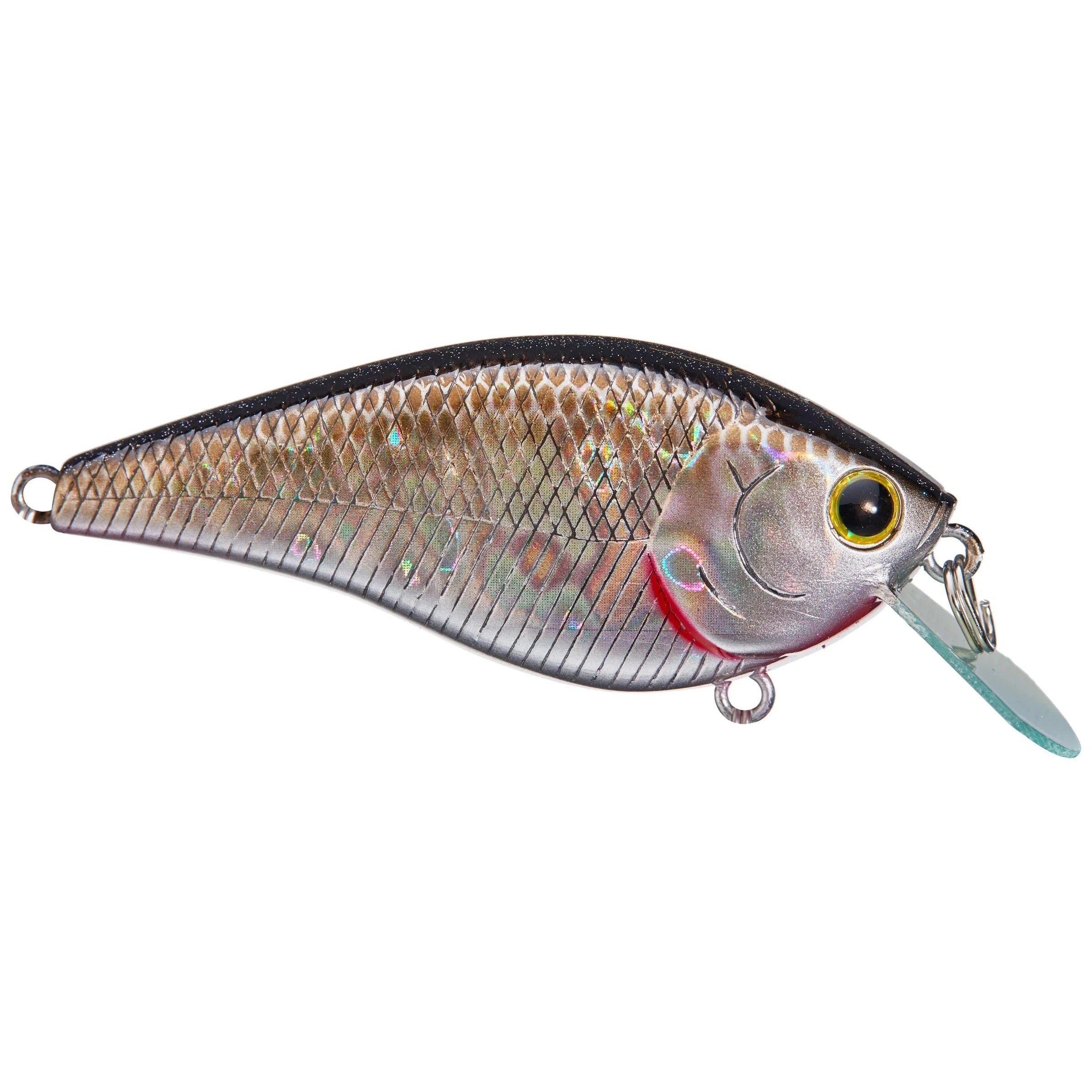 Pearl Threadfin Shad