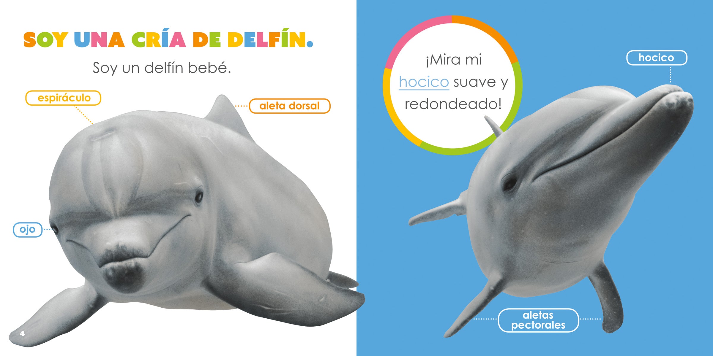 Baby Dolphins Book 9781640262751 - Fun & Educational Marine Life Reading for Kids & Toddlers