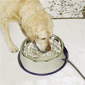 Stainless Steel Heated Dog Water Bowl - Winter Pet Bowl with Thermostat for Outdoor & Indoor Use - Perfect for Cold Weather, Kennels, and Travel