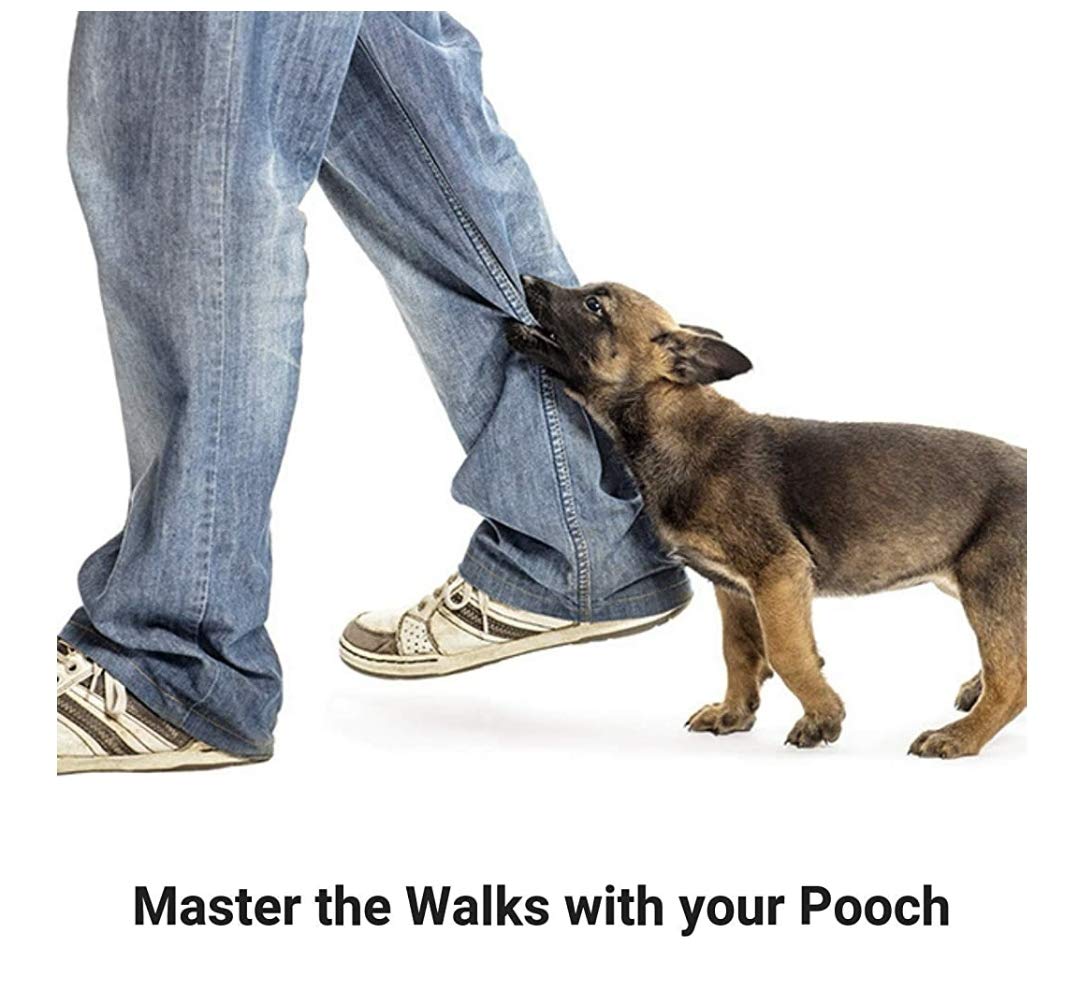 Durable Rope Dog Leash for Medium & Large Dogs - Heavy Duty 12mm Training Lead with Strong Hook (Color May Vary) - Perfect for Walking, Running, and Obedience Training