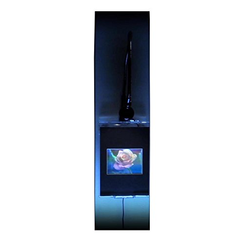 Blooming Rose Large Holographic Picture - 3D LED Lighted Wall Art Display with Embossed Stereogram Effect | Perfect for Home Decor, Bedroom Aesthetics & Gift Giving