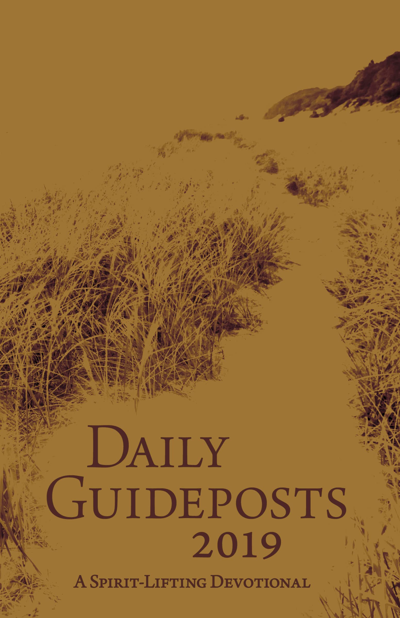 Daily Guideposts 2019 Leather Edition - Inspirational Christian Devotional Book for Daily Bible Study, Prayer & Spiritual Growth | Perfect Gift for Christmas, Birthdays & Church Events