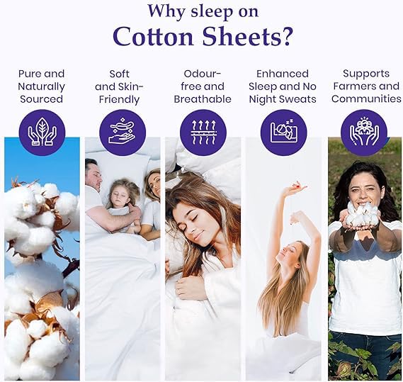 Premium 800 Thread Count King Size Egyptian Cotton Bed Sheets Set - 6 Piece Bedding with Deep Pocket (15