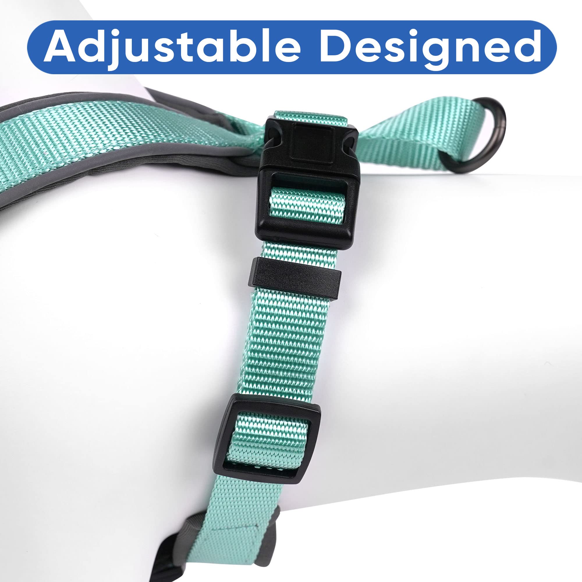 Pawtitas Reflective Padded Dog Harness - Comfortable & Adjustable Pet Vest for Walking, Running & Night Safety - Medium Size Teal Blue - Perfect for Small to Medium Dogs Outdoor Adventures
