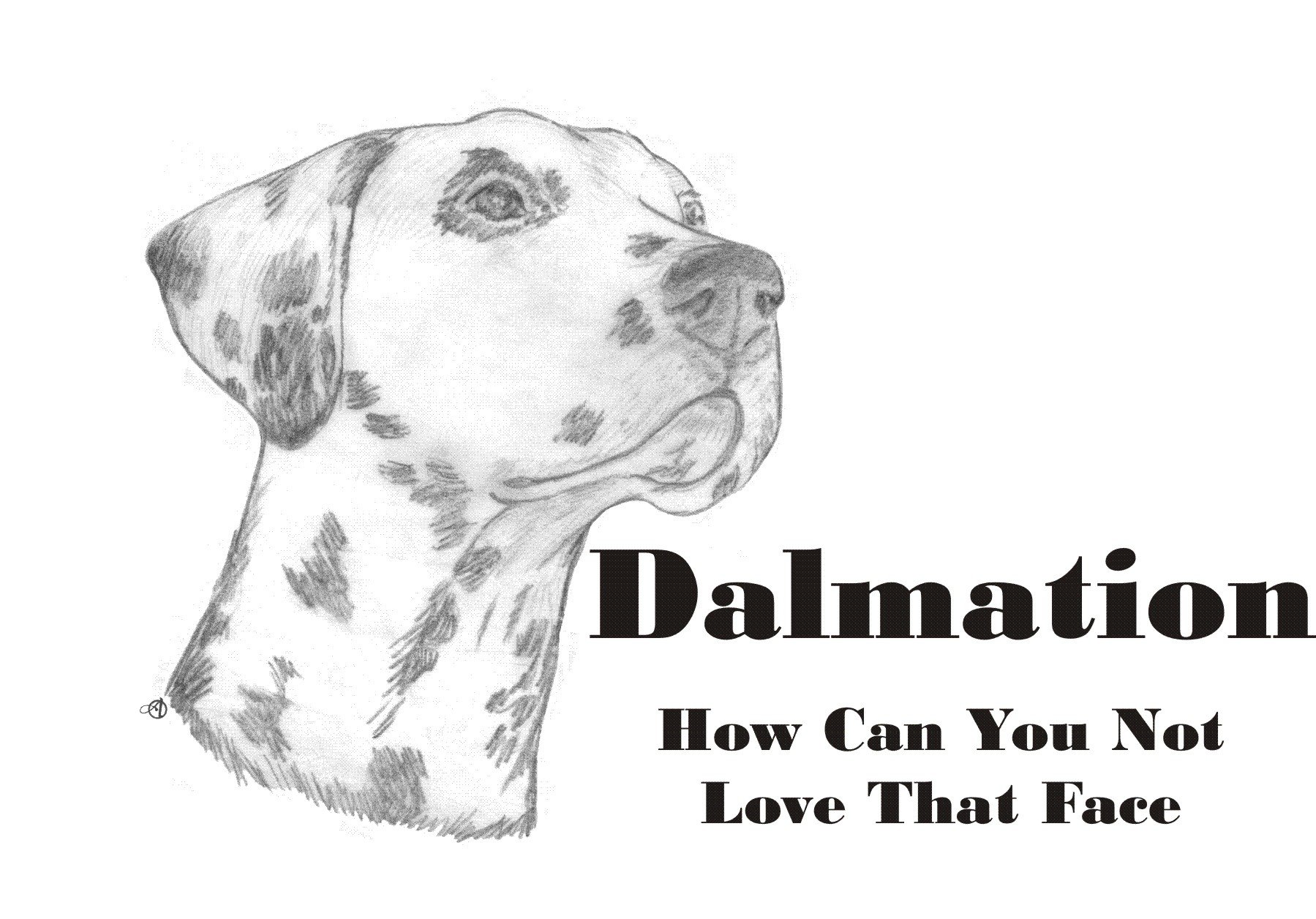 Cahoon's Closet Dalmatian Dog Lover T-Shirt - Cute Puppy Face Graphic Tee for Casual Wear & Dog Lovers