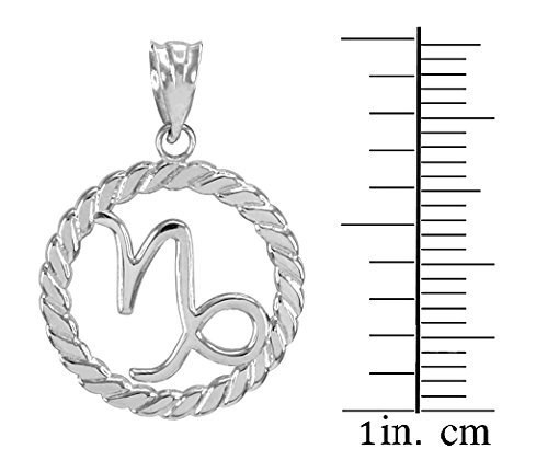 10k White Gold High Polish Roped Circle Capricorn Zodiac Pendant Necklace - Elegant Jewelry for Birthdays, Gifts & Everyday Wear