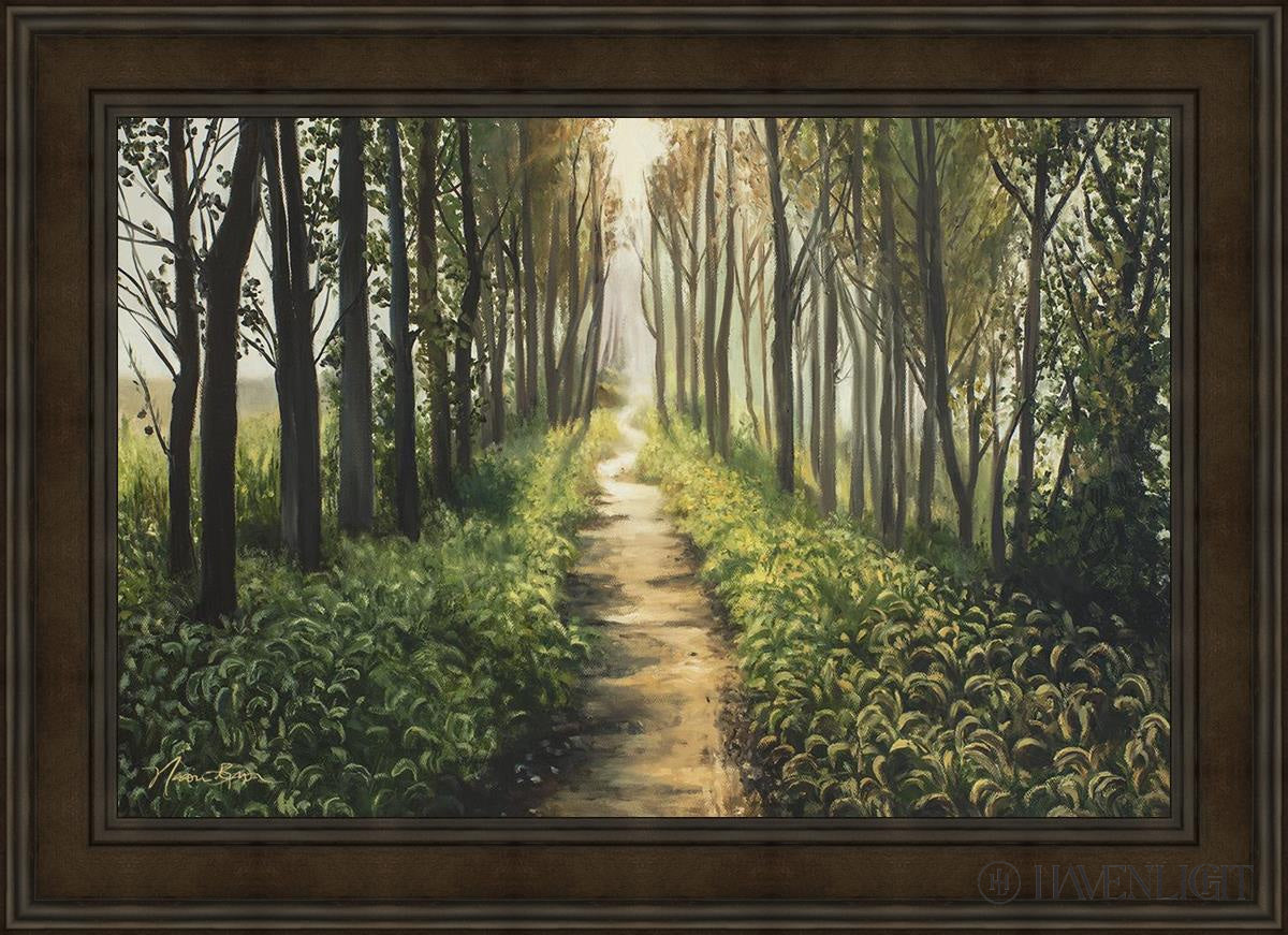 Forest Walkway - Beautiful Wooden Pathway for Gardens, Parks & Trails | Perfect for Outdoor Decor & Nature Walks