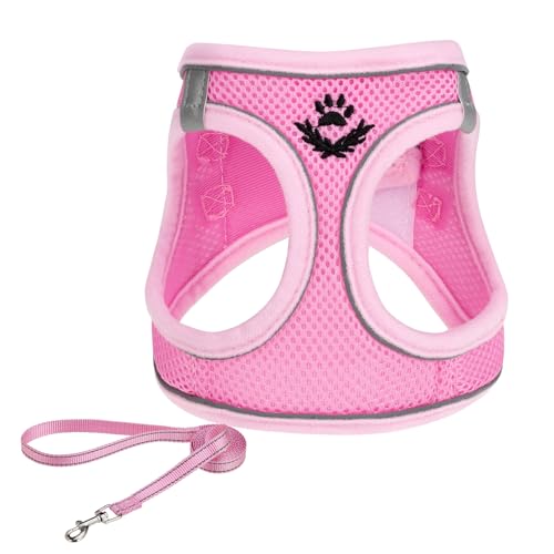 Pink Mesh
