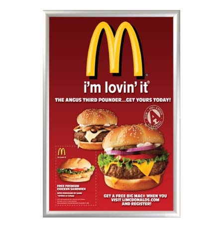 20x30 Euro Style Security Snap Frame Poster Sign Holder - Silver Metal Frame with Lever Tool | Ideal for Retail Displays, Restaurants, Offices & Events