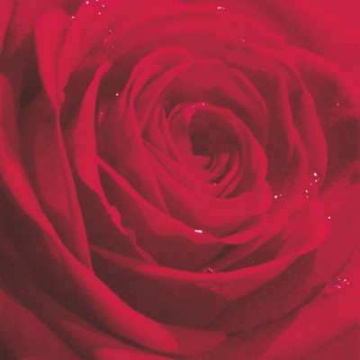Belle Rose du Martin Red Cloth Napkins - 20 Pack Premium Cotton Lunch Napkins for Dining, Parties, and Special Occasions