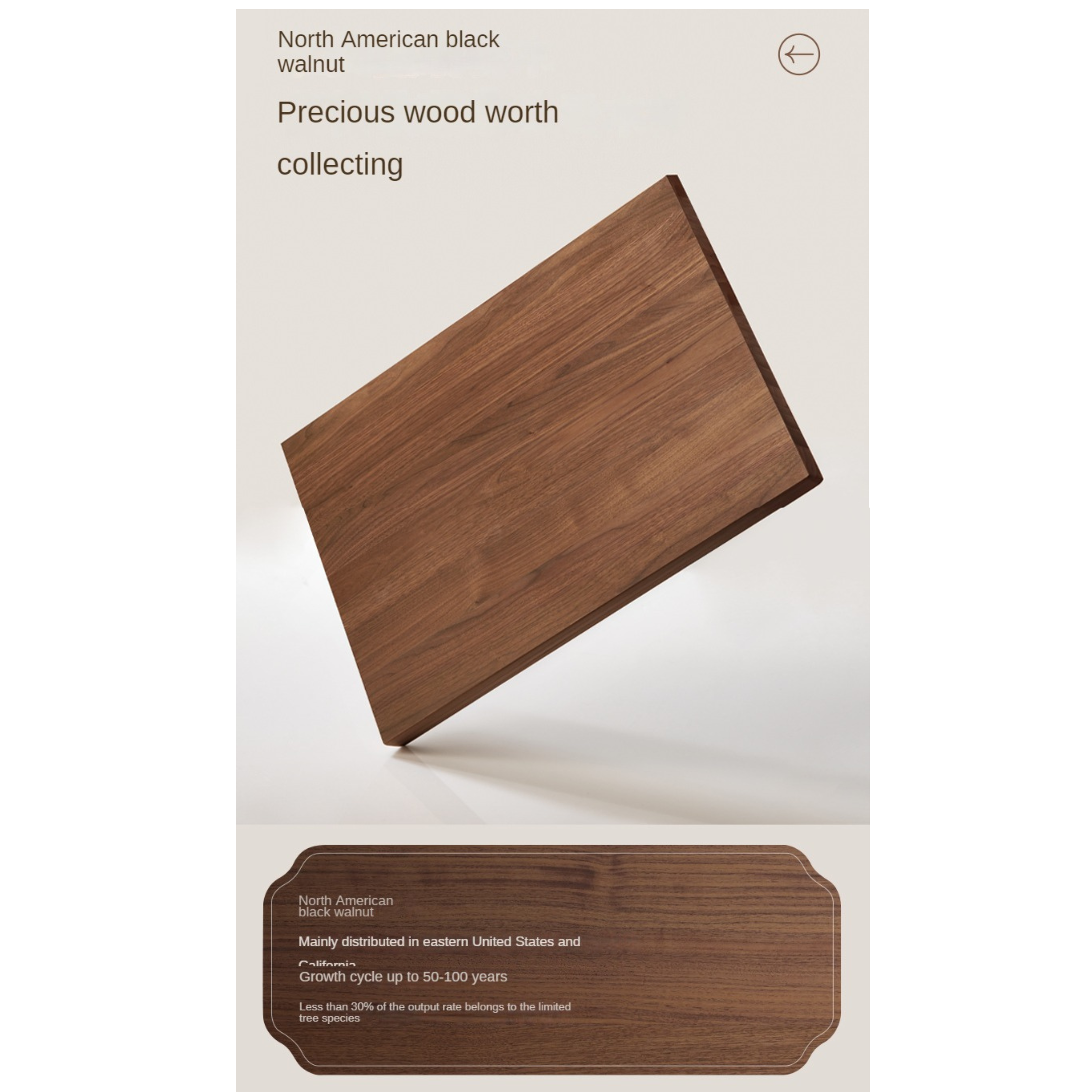 Premium Black Walnut Solid Wood Leather & Tech Fabric Bed Frame - Modern Platform Bed for Master Bedroom, Guest Room & Dormitory