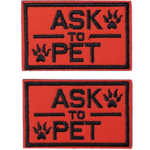 Ask to Pet, Orange