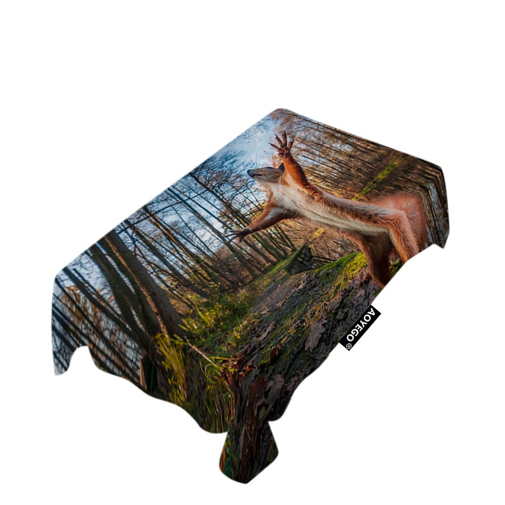 Funny Red Squirrel Tablecloth 60x104 Inch - Waterproof Polyester Rectangle Table Cover for Indoor Outdoor Use, Picnic, Party, Dinner - Cute Forest Animal Design Perfect for Holiday Gatherings and Birthday Celebrations