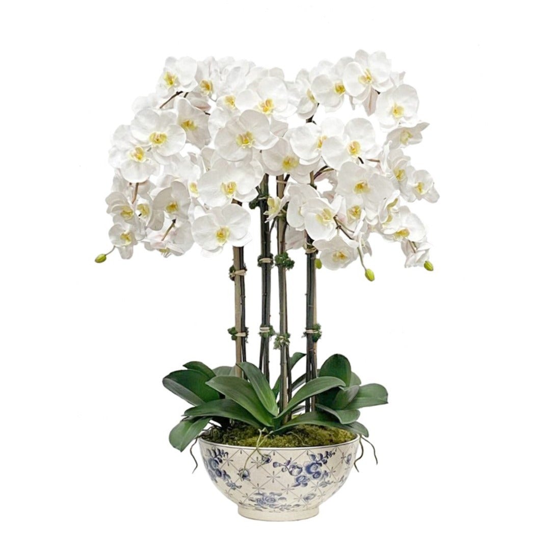 Phalaenopsis Orchid in Rose Trellis Bowl - Elegant Home Decor for Living Room, Office & Wedding Centerpiece
