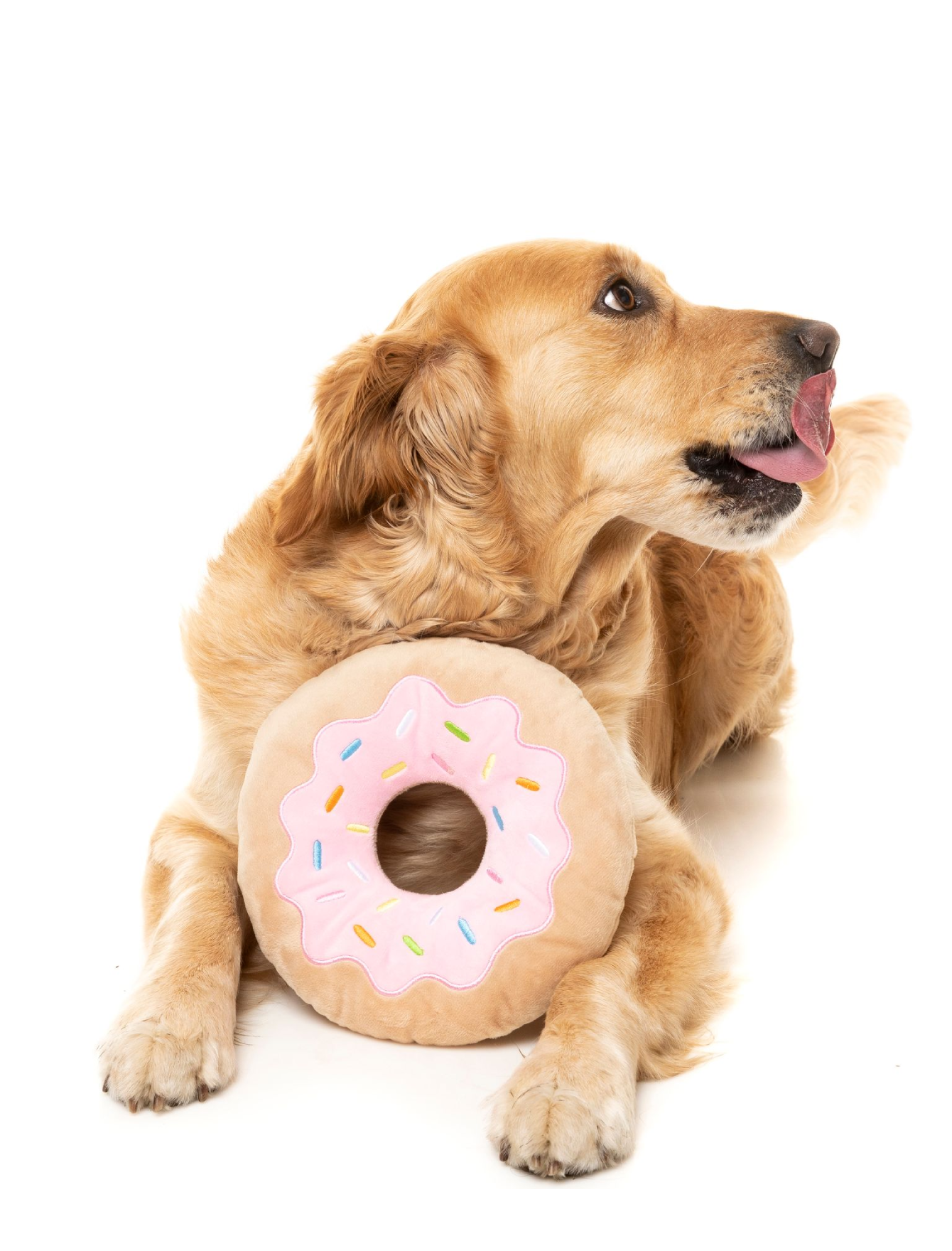 Fuzzyard Plush Dog Toy - 2 Pack Donut Chew Toys for Small & Medium Dogs - Soft & Durable Pet Chew Toys for Puppies, Teething, and Playtime - Perfect for Indoor & Outdoor Use