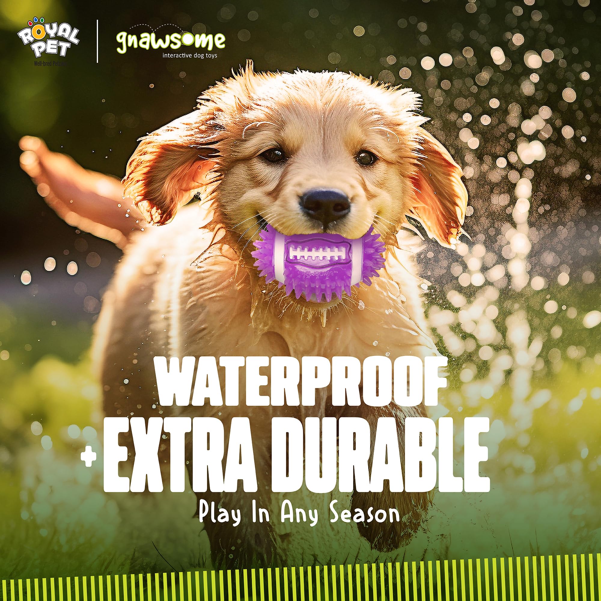 Durable Dog Chew Toys for Heavy Chewers - BPA-Free Football with Squeaker - Dental Care & Playtime Fun