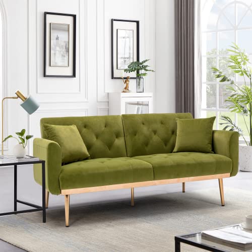 Olive 1