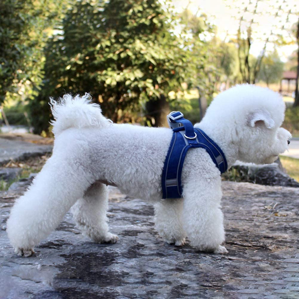 Adjustable Reflective Dog Harness and Leash Set - Comfortable Pet Vest with Handle for Small & Medium Dogs & Cats - Perfect for Walking, Hiking & Outdoor Adventures (Blue, Size M)