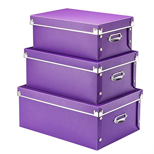 D-Purple