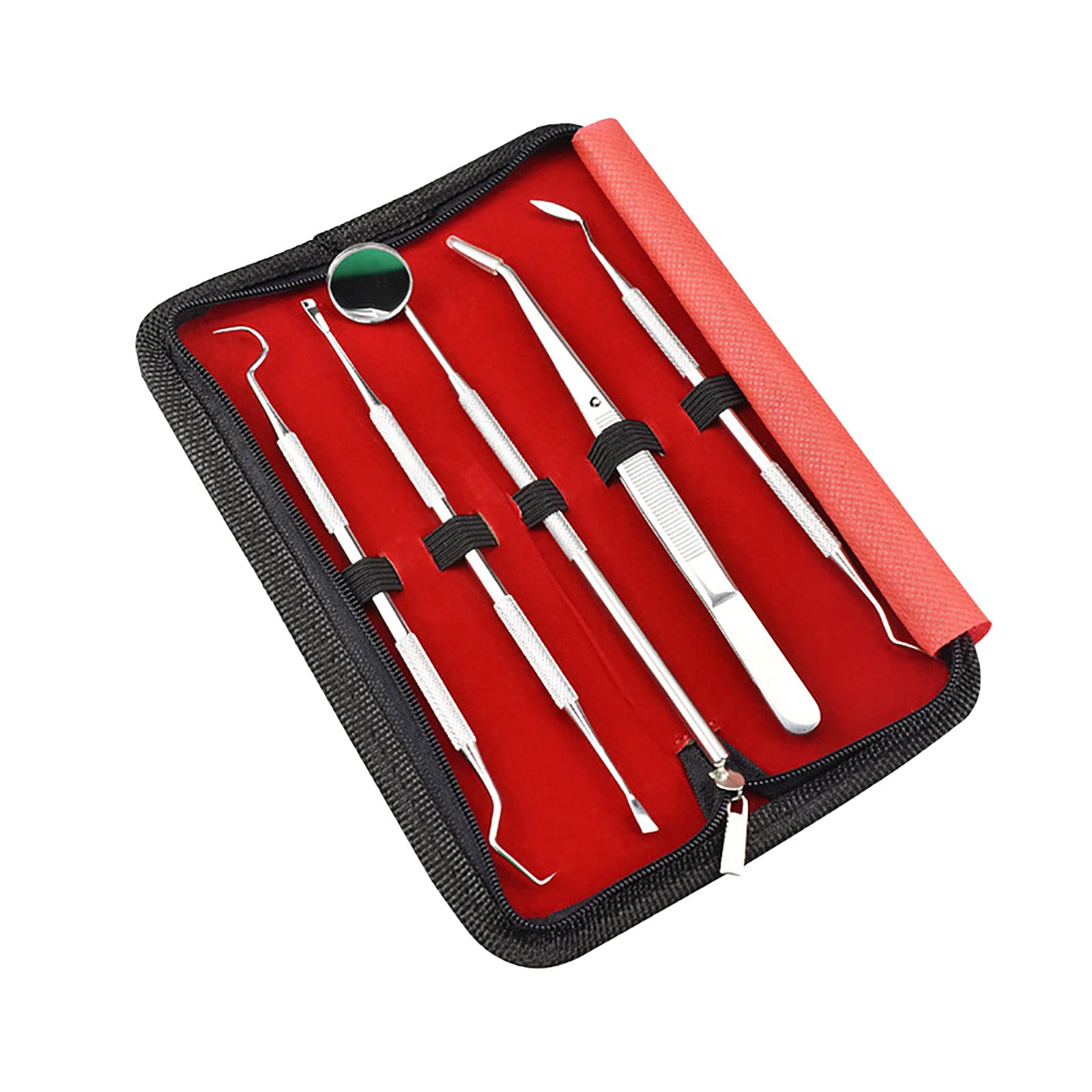 Naladoo Professional Stainless Steel Dental Hygiene Kit - 5-Piece Dentist Oral Care Set for Teeth Cleaning, Whitening & Plaque Removal | Perfect for Home & Travel Use