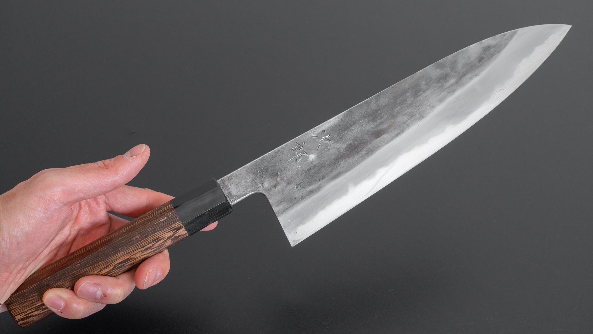 Premium Jiro Tsuchime Wa Gyuto 240mm Japanese Chef Knife with Taihei Tagayasan Handle (#187) - Perfect for Sushi, Sashimi & Precision Cutting in Professional Kitchens