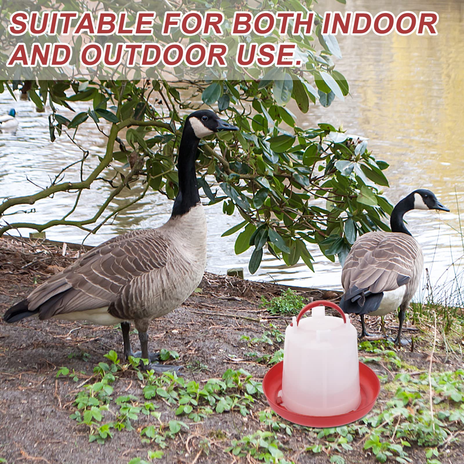 2Pcs Plastic Poultry Water Feeder for Chickens, Geese & Ducks - Automatic Drinking Bottle Container for Outdoor Pet & Farm Use - Perfect for Coops, Backyards & Livestock Care