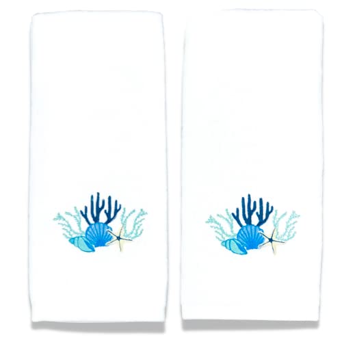 Shell Coral