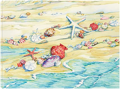 Shells Along the Cape