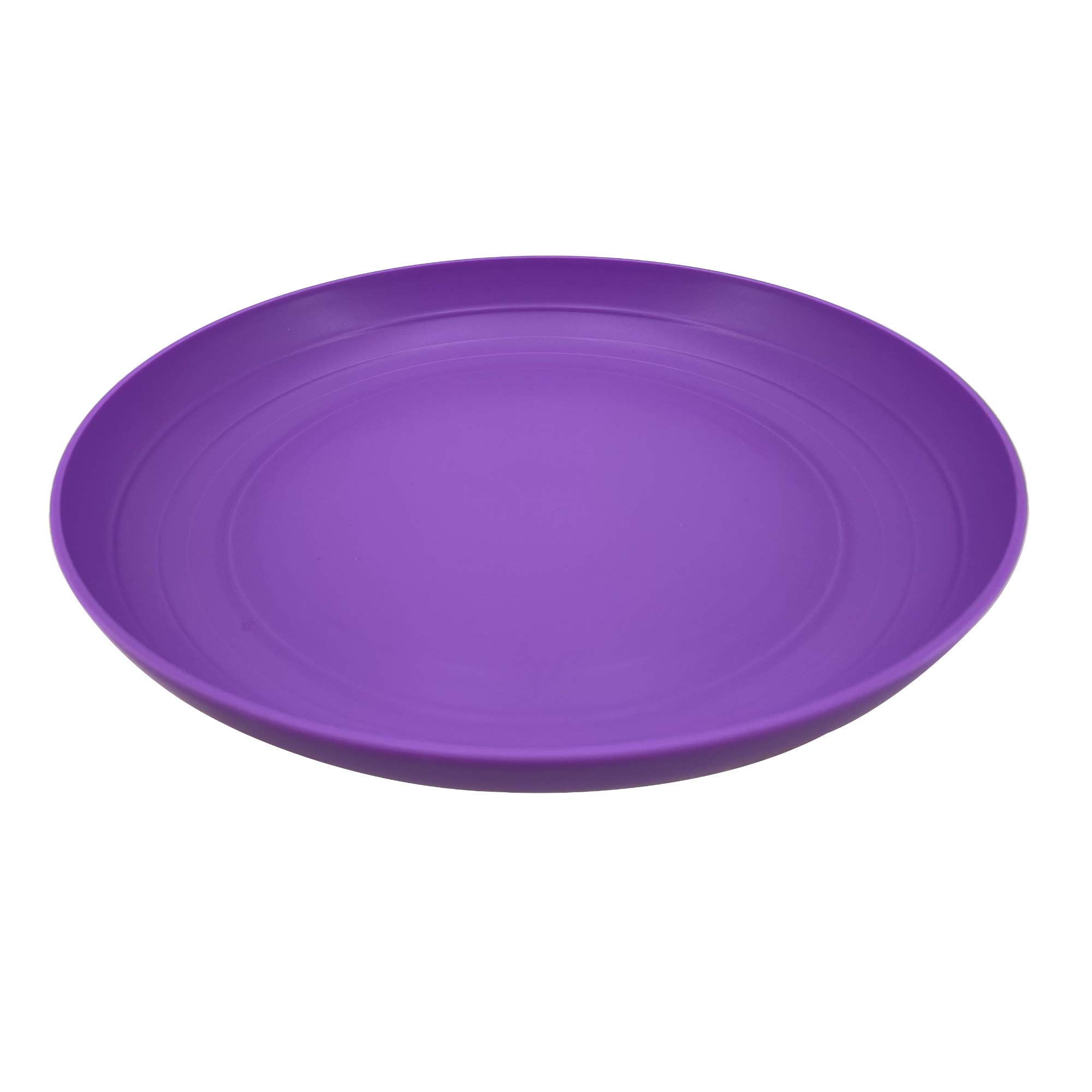 AOYITE 8 Inch Reusable Plastic Plates Set of 6 - Unbreakable BPA-Free Dinner Plates, Dishwasher & Microwave Safe for Kids, Kitchen, Party, Camping & Outdoor Picnics
