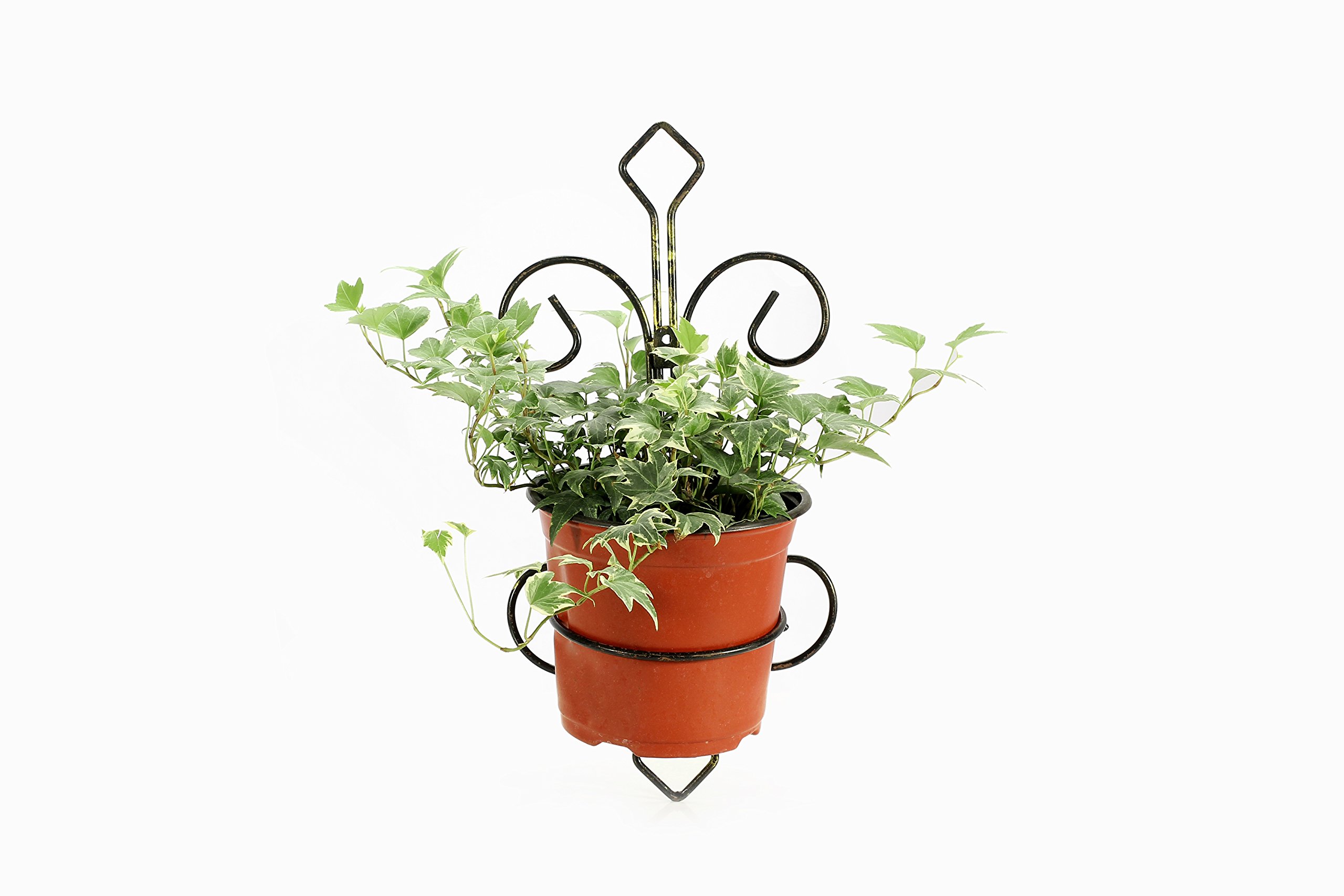 Ore International LB-1717 Hanging Wall Planter - Black & Gold Modern Decorative Flower Pot for Indoor/Outdoor Plants | Perfect for Home, Garden, Patio, and Balcony Decor
