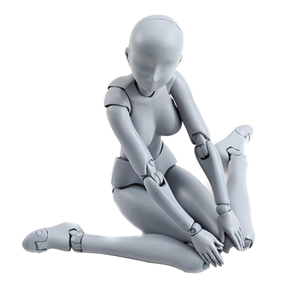 Body Kun & Body Chan Male & Female Action Figure Set - Artist Drawing Mannequin for Sketching, Painting & Figure Study | Perfect for Art Class, Studio Practice & Animation Reference (Gray DX Version)