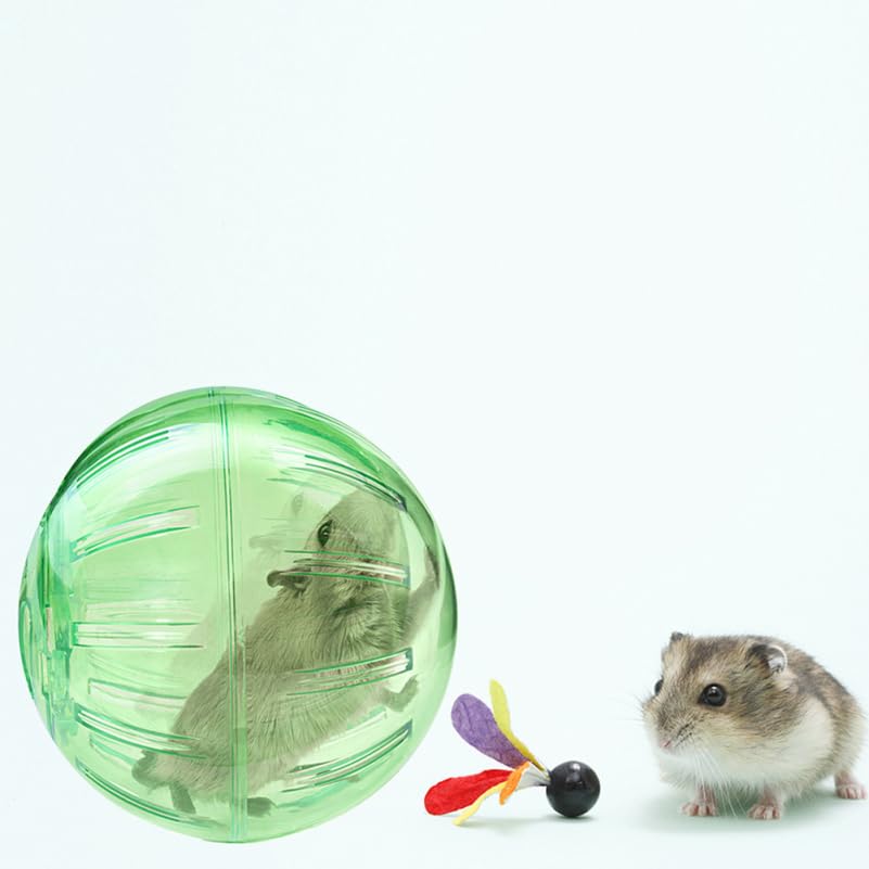 Clear Hamster Exercise Ball - Fun Running Wheel for Dwarf Hamsters, Guinea Pigs & Chinchillas | Small Pet Activity Toy for Indoor Play & Exercise | Perfect for Cage-Free Playtime & Safe Exploration