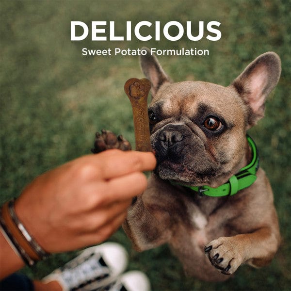 Fruitables Bioactive Fresh Mouth Dental Chews for Dogs - Natural Dog Breath Freshener & Teeth Cleaner - Vet Recommended Dental Treats for Small, Medium & Large Breeds - Perfect for Daily Oral Care & Fresh Breath