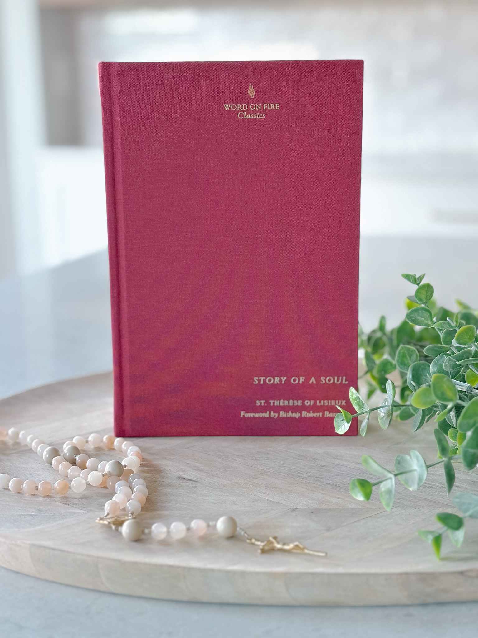 Story of a Soul Book 1 - Inspirational Spiritual Reading for Personal Growth & Meditation | Perfect for Daily Devotion & Book Club Discussions
