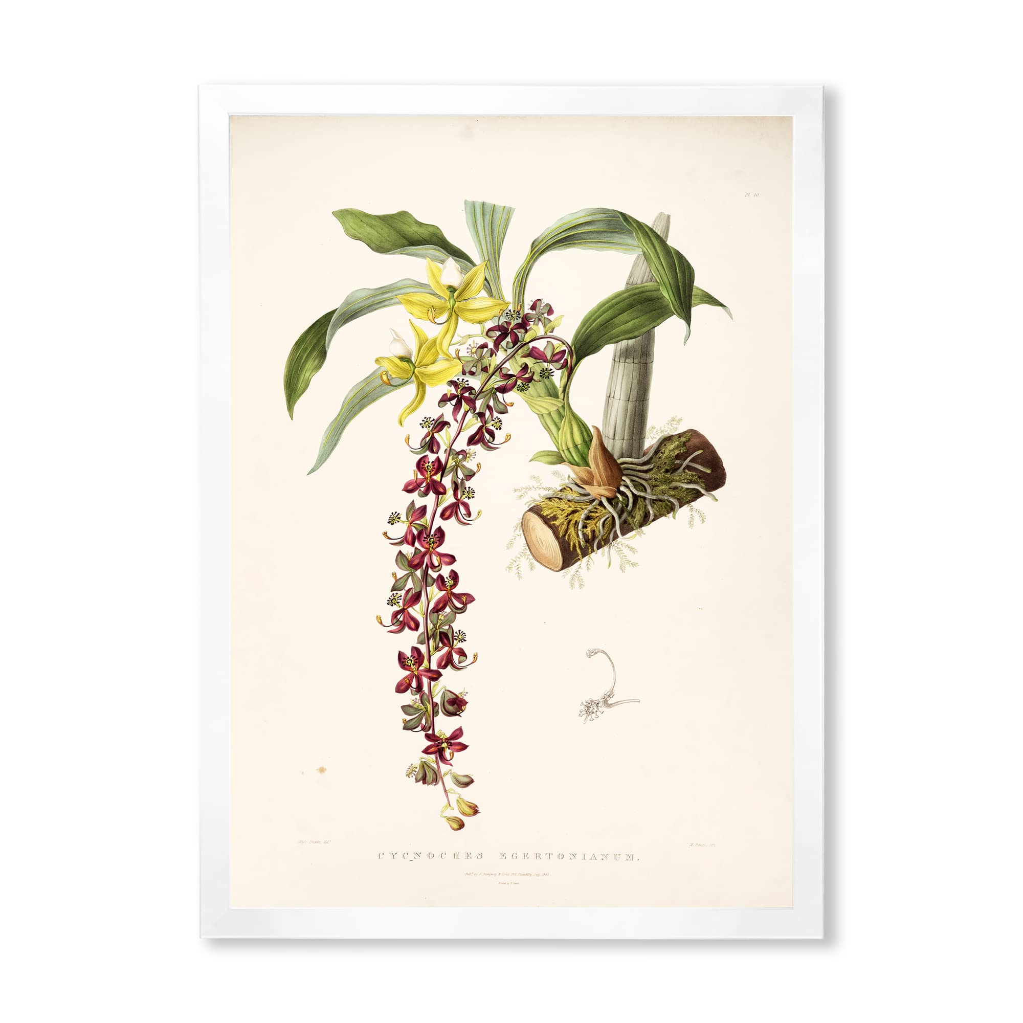 Vintage Floral Traditional Framed Wall Art - Hand Painted Canvas Painting - Home Decor for Living Room, Bedroom & Office