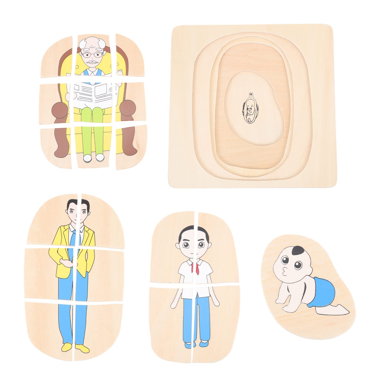 ibasenice Wooden Human Body Puzzle for Toddlers - Educational Anatomy Toy for Boys & Girls, Fun Learning Body Structure - Perfect for Preschool STEM Activities & Montessori Play
