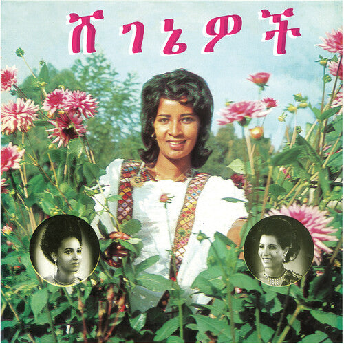 Aselefech Ashine & Getenesh Kebret Beauties Vinyl Record - Ethiopian Traditional Music for Home Decor & Cultural Enthusiasts