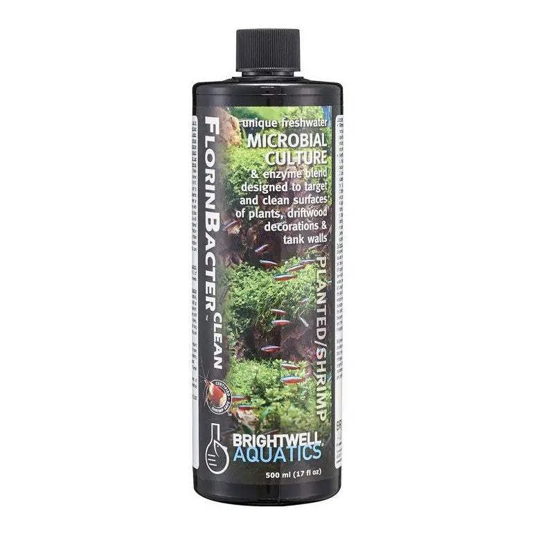 Brightwell FlorinBacter Clean - Beneficial Microbial Culture for Planted & Shrimp Tanks | Promotes Water Clarity & Healthy Aquatic Ecosystem | Ideal for Freshwater Aquariums & Nano Tanks