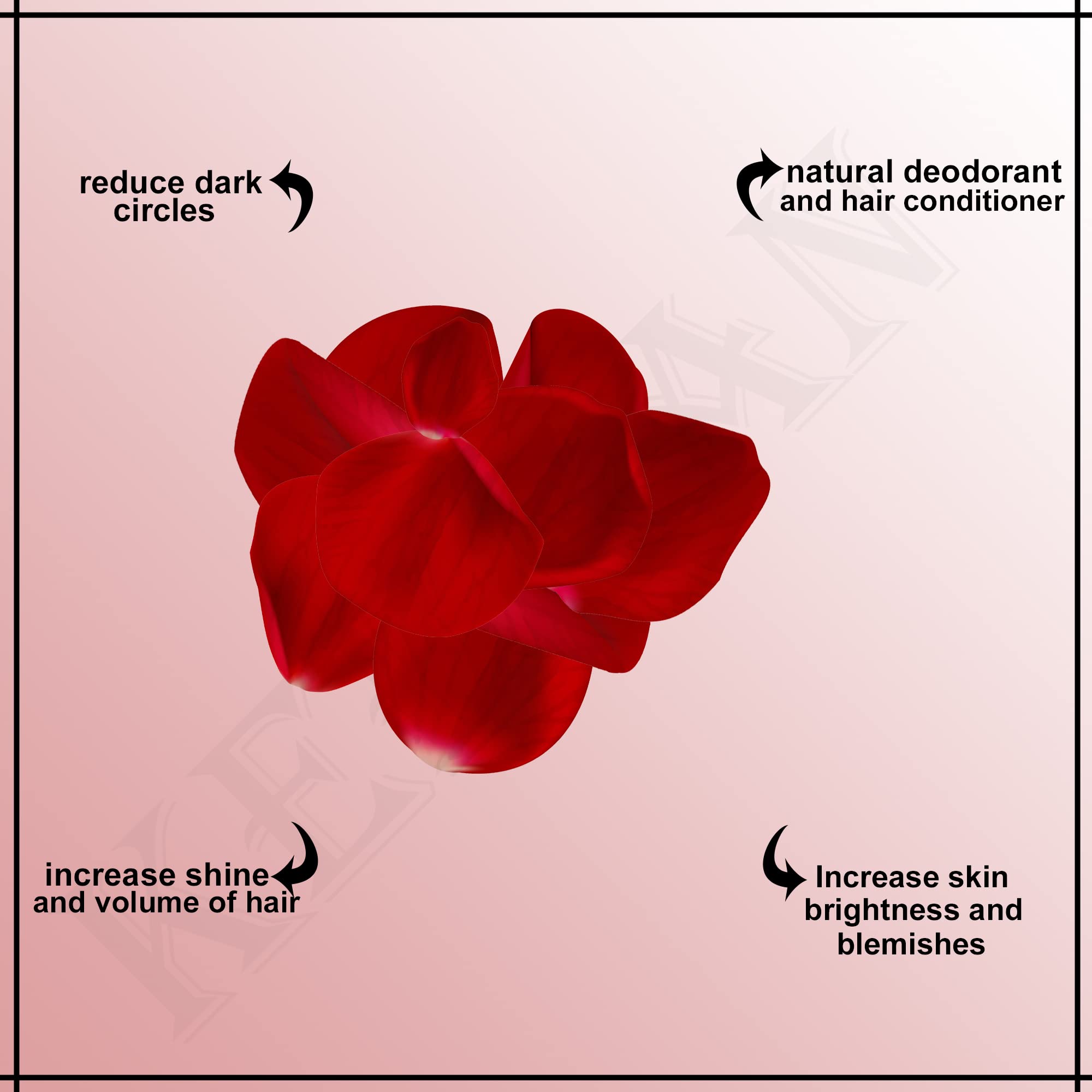 Keegan Multani Mitti Powder, Sandalwood Powder, Red Rose Petal Powder, Ubtan Powder, Kasturi Haldi Powder Combo - 5-in-1 Natural Face Pack & Skin Care Set (75g Each) for Glowing Skin, Acne Treatment & Ayurvedic Beauty Routine