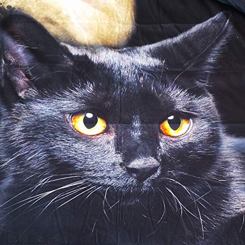 3D Black Cat Under Full Moon Bedding Set - 3 Piece Funny Cat Series (Queen Size) | Royal Linen Source | Perfect for Cat Lovers & Halloween Decor