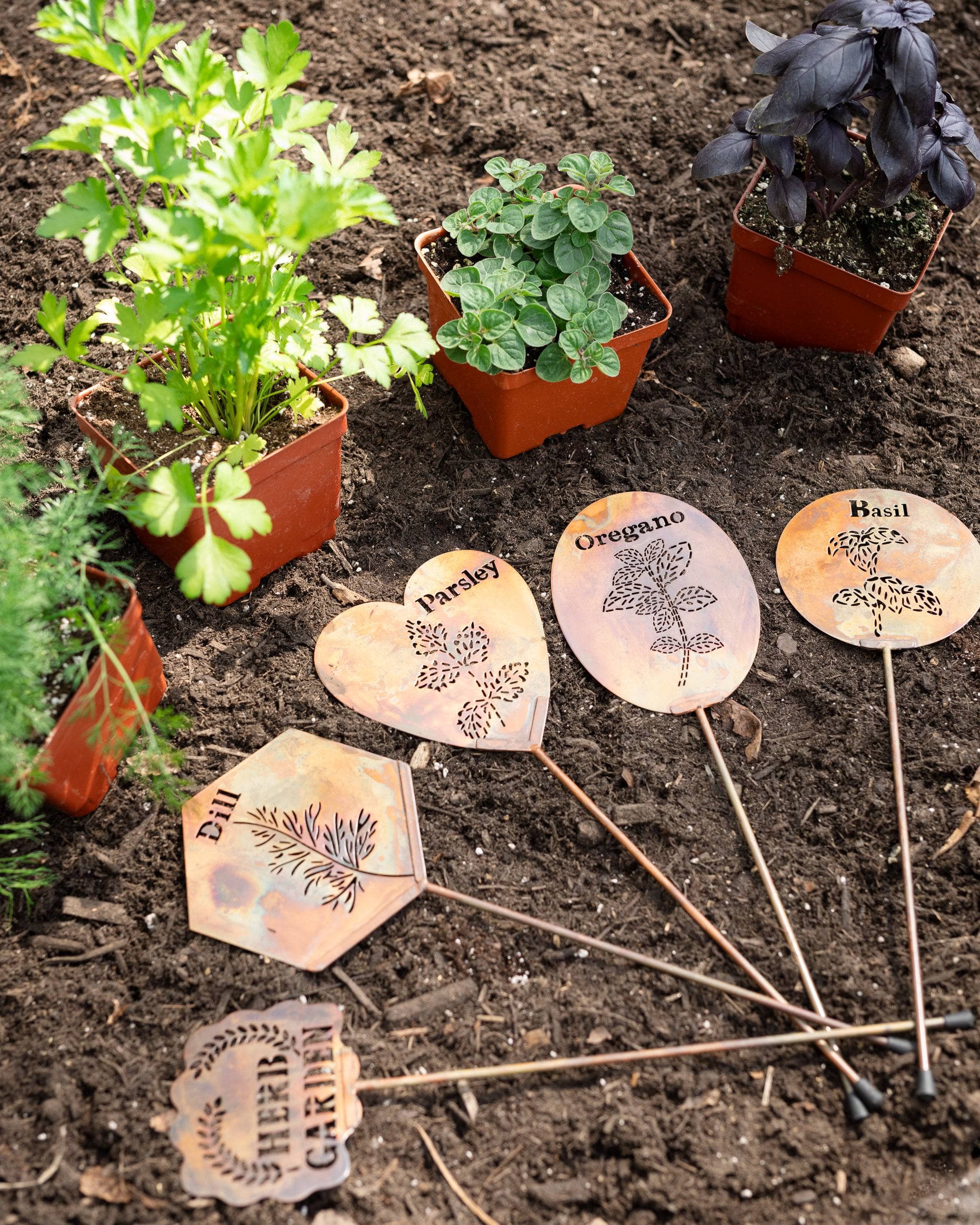 Organic Basil Herb Garden Stake - Handcrafted Plant Marker for Indoor & Outdoor Herb Gardens - Perfect for Kitchen Gardens, Windowsill Planters, and Backyard Herb Gardens