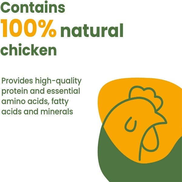 Almo Nature HQS Natural Chicken with Pumpkin in Broth Canned Cat Food - Grain-Free Wet Cat Food for Adult & Senior Cats - Perfect for Digestive Health & Weight Management